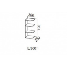 Ш300т/720 Шкаф навесной 300/720 (торцевой)